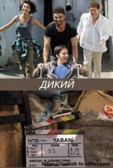Дикий турецкий сериал
