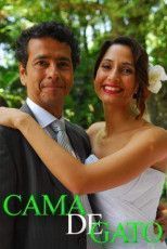 Колыбель кота