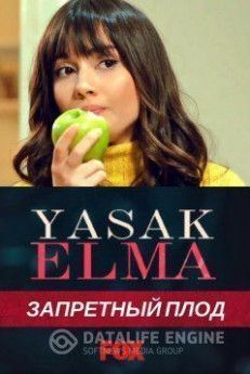 Запретный плод турецкий сериал