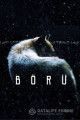 Волк / Boru