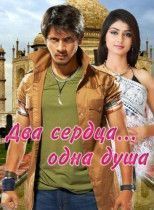 Два сердца - одна душа