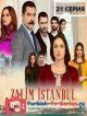 Жестокий Стамбул 21 серия