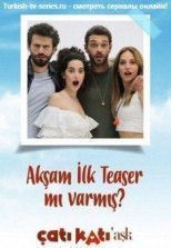 Любовь на крыше / Чердак любви