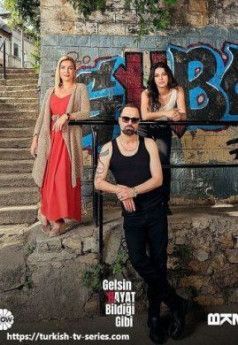 Жизнь как она есть турецкий сериал