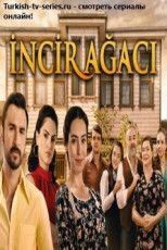 Фиговое дерево