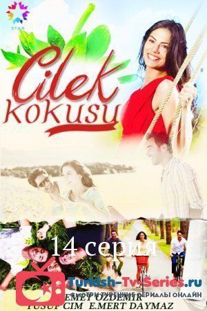 Запах клубники 14 серия русская озвучка смотреть онлайн